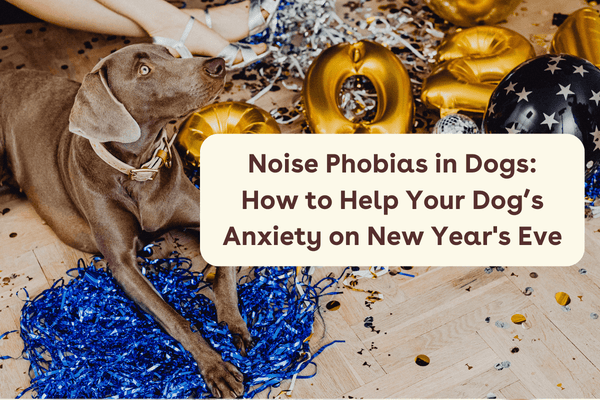 Dog Scared of Loud Noises? Guide to Handling Noise Phobia | Pupford