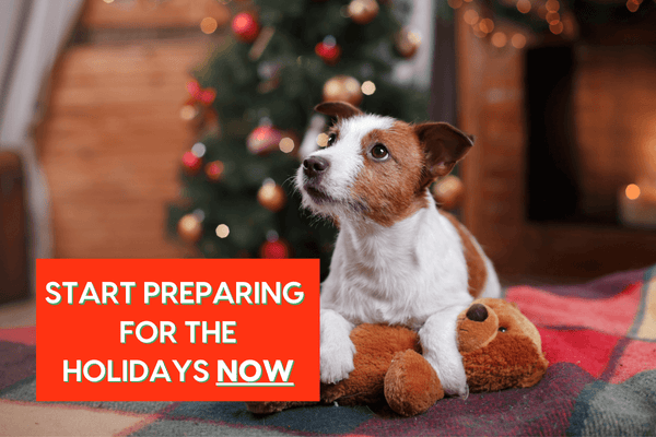 Start Preparing Your Dog for the Holidays Now | Pupford