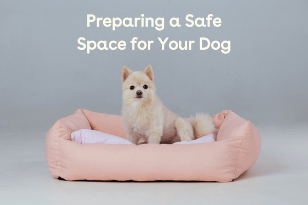 Preparing a "Safe Space" for Your Dog and the Benefits of It | Pupford