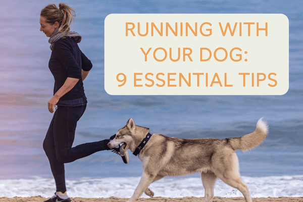 Running With Dogs: 9 Essential Tips, Gear & Benefits | Pupford