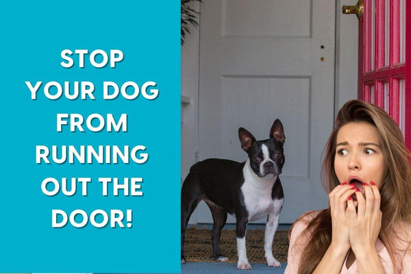 How to STOP a Dog From Running Out the Front Door | Pupford