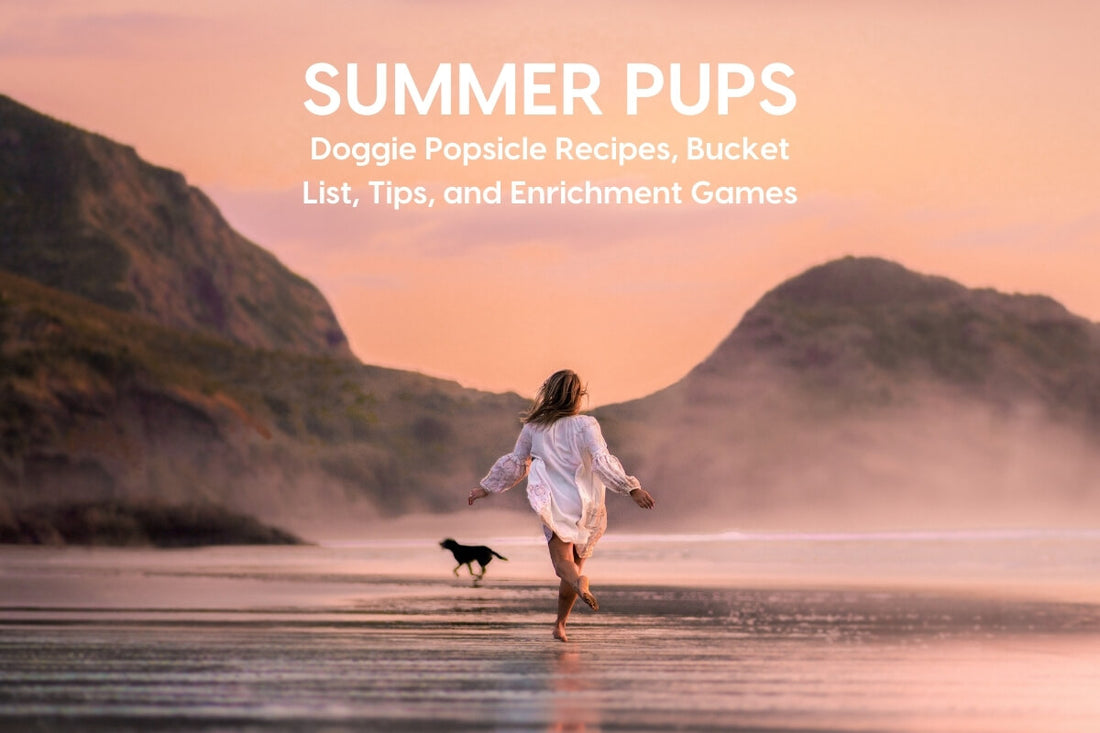 Summer Pups: Doggie & Puppy Popsicle Recipes, Games & More | Pupford