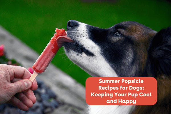 Summer Popsicle Recipes for Dogs: Keeping Your Pup Cool and Happy | Pupford