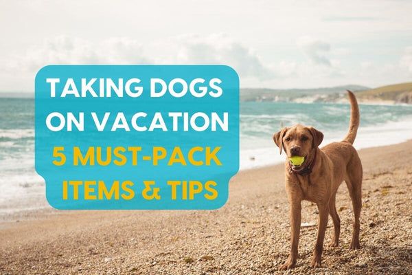 Taking Dogs on Vacation: Full Packing List, Travel Tips & 5 Essential Items | Pupford