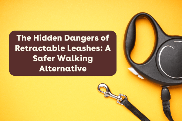 The Hidden Dangers of Retractable Leashes: A Safer Walking Alternative | Pupford