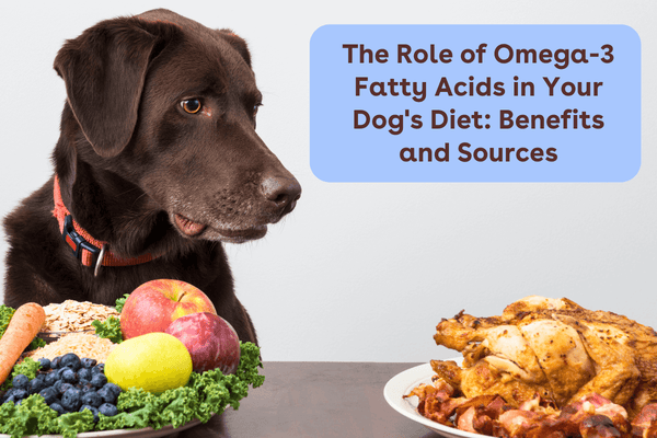 The Role of Omega-3 Fatty Acids in Your Dog's Diet: Benefits and Sources | Pupford