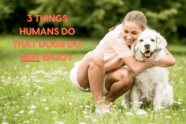 3 Things Humans Do That Dogs Do NOT Enjoy | Pupford