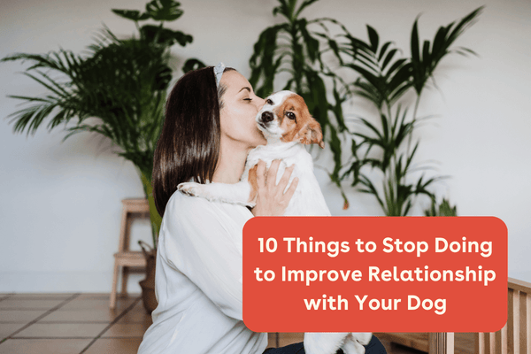 10 Things to Stop Doing to Improve Relationship with Your Dog | Pupford