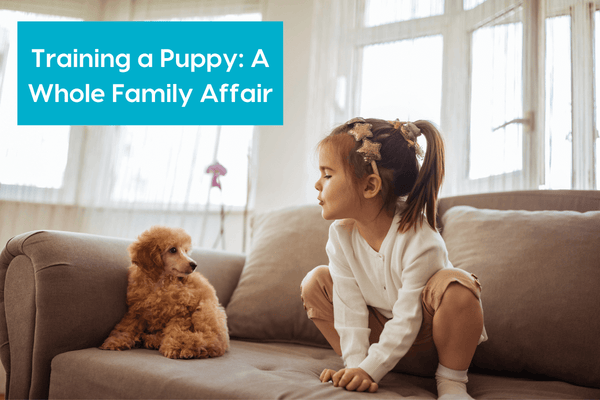 Training a Puppy: A Whole Family Affair | Pupford