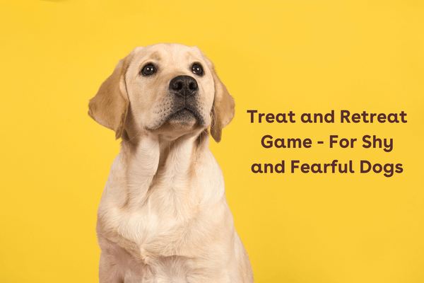 Treat and Retreat Game - For Shy and Fearful Dogs | Pupford