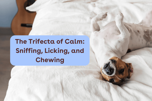 The Trifecta of Calm: Sniffing, Licking, and Chewing | Pupford