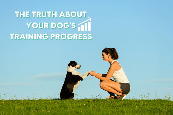 The Truth About Your Dog's Training Progress | Pupford