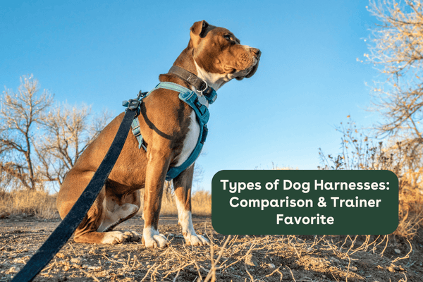 Best Types of Dog Harnesses: Comparison & Trainer Favorite | Pupford