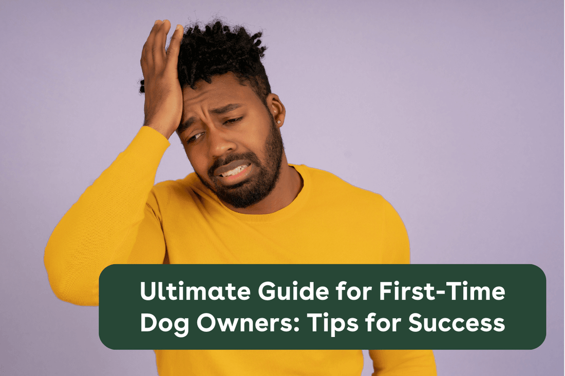 Ultimate Guide for First-Time Puppy Parents: 10 Tips for Success | Pupford