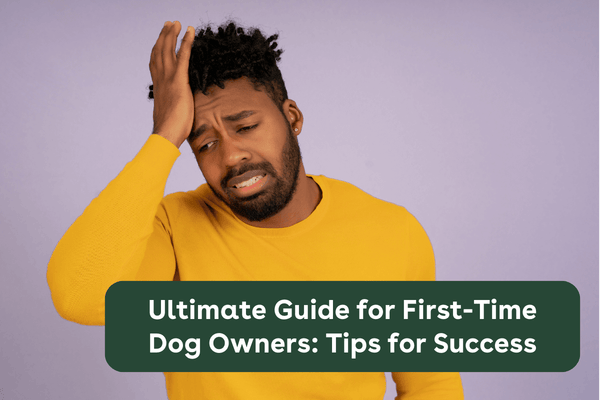 Ultimate Guide for First-Time Puppy Parents: 10 Tips for Success | Pupford