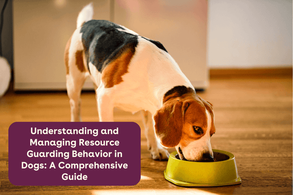 Understanding Resource Guarding in Dogs: A Complete Guide | Pupford