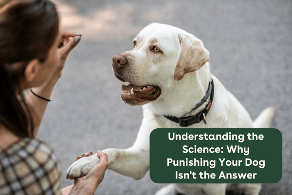 Understanding the Science: Why Punishing Your Dog Isn't the Answer | Pupford