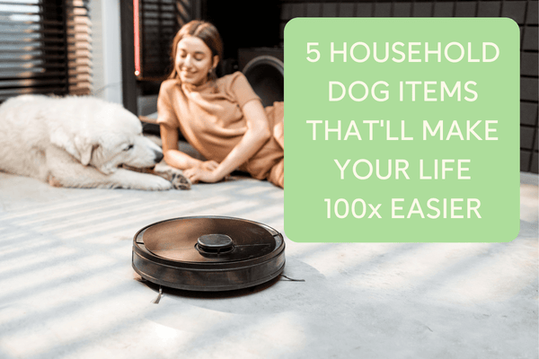 5 Unique Household Dog Items That'll Make Your Life 100x Easier | Pupford