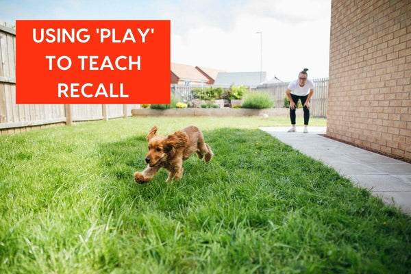 Using 'Play' to Teach Recall | Pupford
