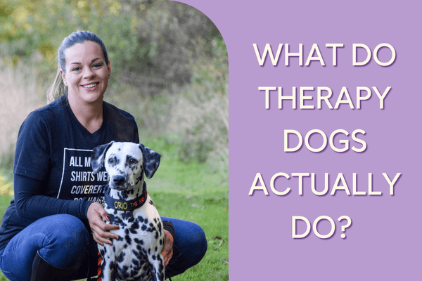 What Do Therapy Dogs Actually Do? An Interview with Monica Callahan (10 Years of Therapy Dog Work) | Pupford