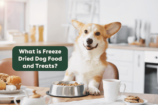 What Are Freeze Dried Dog Food and Treats | Pupford