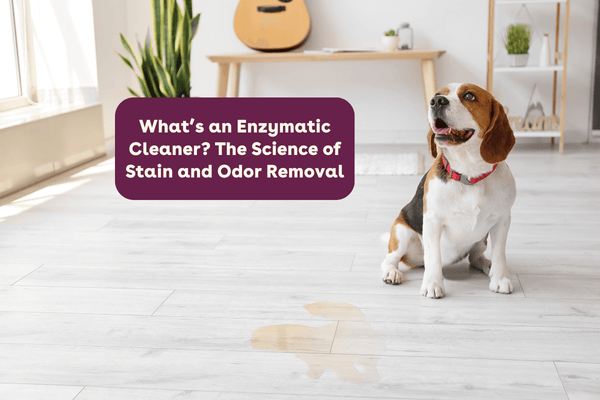 What’s an Enzymatic Cleaner? How It Works to Remove Dog Urine, Smells, and Stains | Pupford