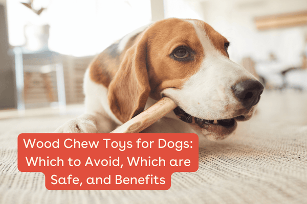 Wood Chew Toys for Dogs: Which to Avoid, Which are Safe, and Benefits | Pupford