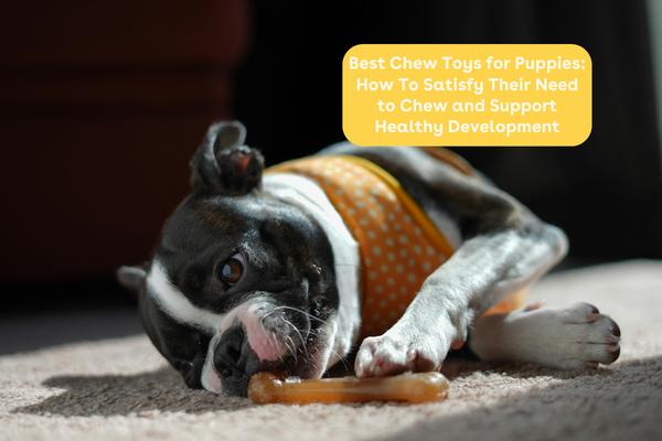 Best Chew Toys for Puppies: How To Satisfy Their Need to Chew and Support Healthy Development | Pupford