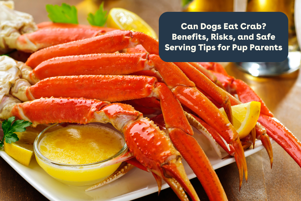 Can Dogs Eat Crab? Benefits, Risks, and Safe Serving Tips for Pup Parents | Pupford