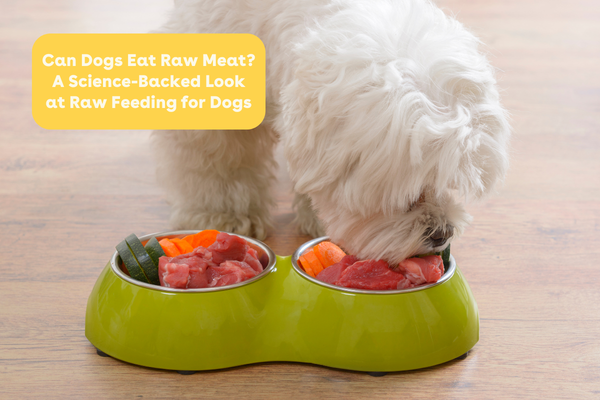 Can Dogs Eat Raw Meat? A Science-Backed Look at Raw Feeding for Dogs | Pupford