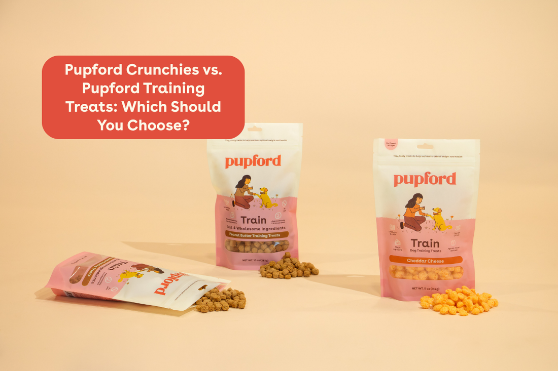 Pupford Crunchies vs. Pupford Training Treats: Which Should You Choose? | Pupford