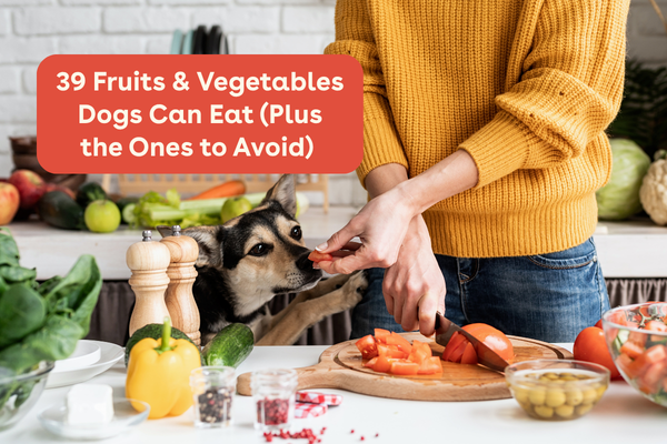 39 Fruits & Vegetables Dogs Can Eat List + Ones to Avoid | Pupford