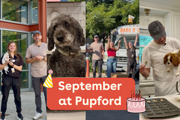 September at Pupford