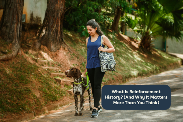 What Is Reinforcement History? (And Why It Matters More Than You Think) | Pupford