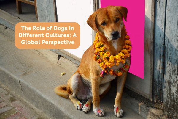 The Role of Dogs in Different Cultures: A Global Perspective| Pupford