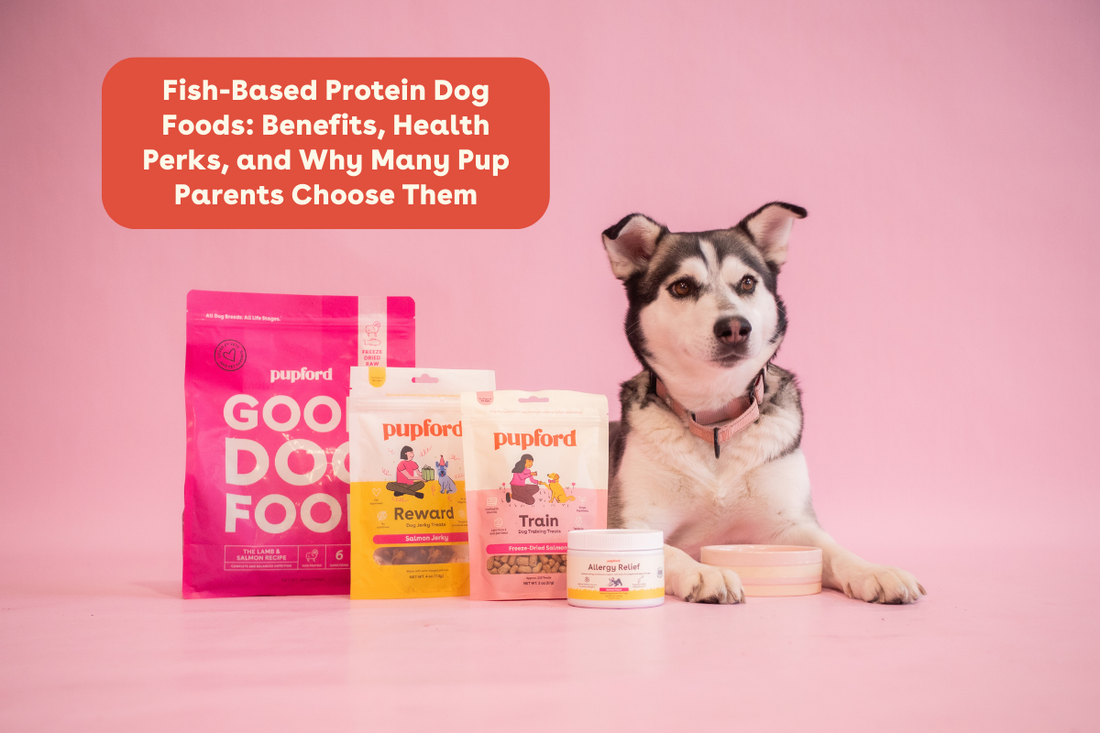 Fish-Based Protein Dog Foods: Benefits, Health Perks, and Why Many Pup Parents Choose Them | Pupford