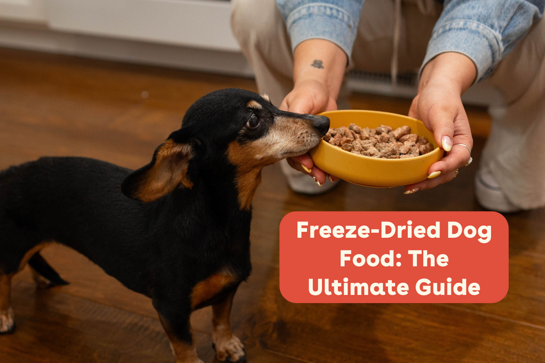freeze-dried dog food ultimate guide | Pupford
