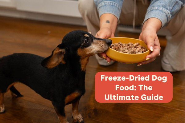 freeze-dried dog food ultimate guide | Pupford