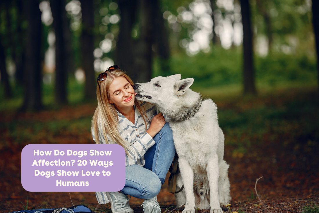How Do Dogs Show Affection? 20 Ways Dogs Show Love to Humans | Pupford