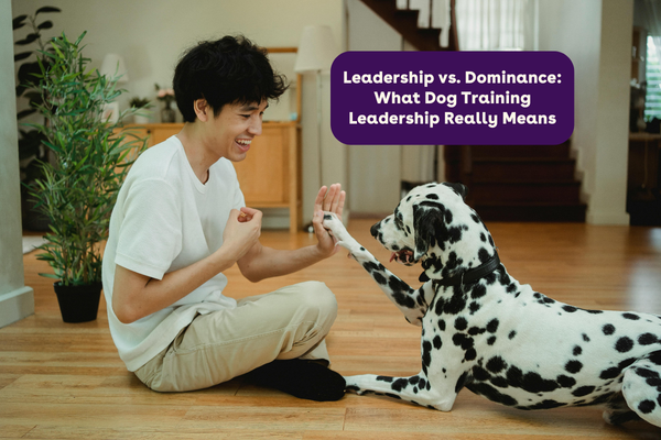 Leadership vs. Dominance: What Dog Training Leadership Really Means | Pupford