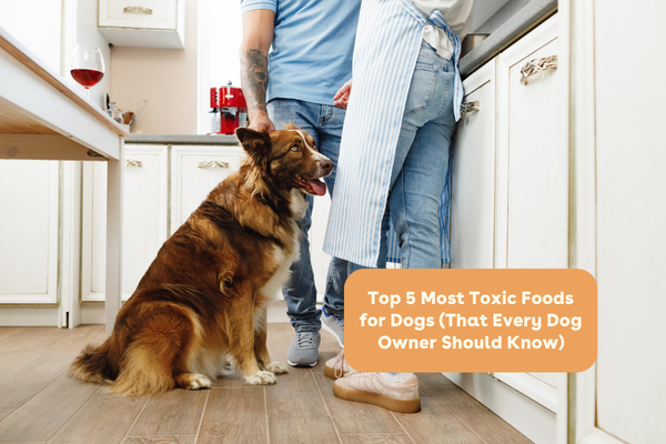 Top 5 Most Toxic Foods for Dogs (That Every Dog Owner Should Know) | Pupford