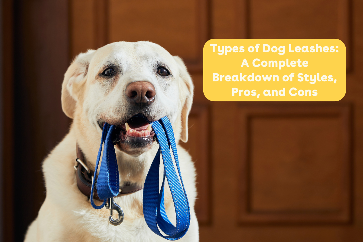 Types of Dog Leashes: Comparison of Styles, Pros, and Cons | Pupford