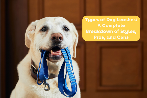 Types of Dog Leashes: Comparison of Styles, Pros, and Cons | Pupford