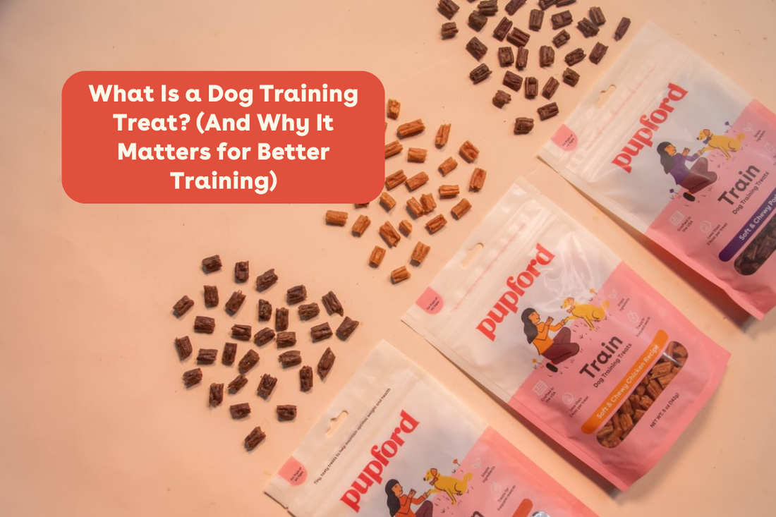 What Is a Dog Training Treat? (And Why It Matters for Better Training) | Pupford