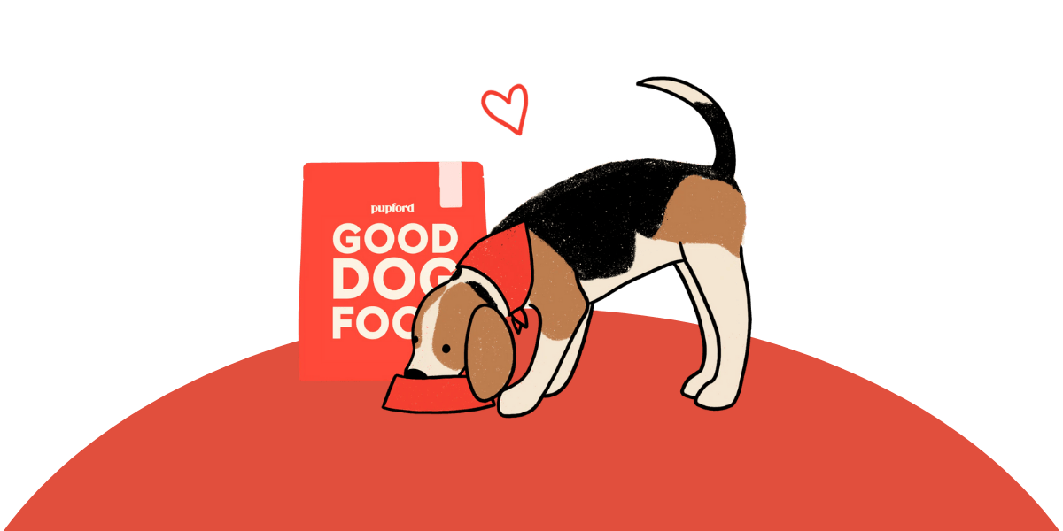 Group: Good Dog Food