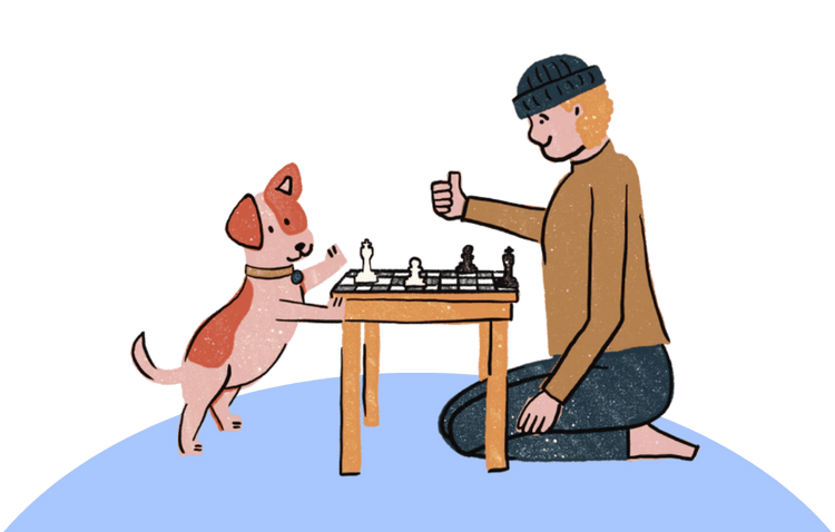 Bully Sticks