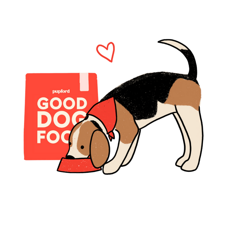 Good Dog Food Guide Uk Good Dog Food Guide Uk