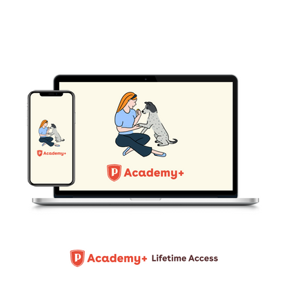 Pupford Academy+ Lifetime