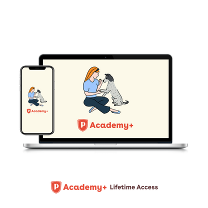 Pupford Academy+ Lifetime