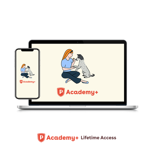 Pupford Academy+ Lifetime